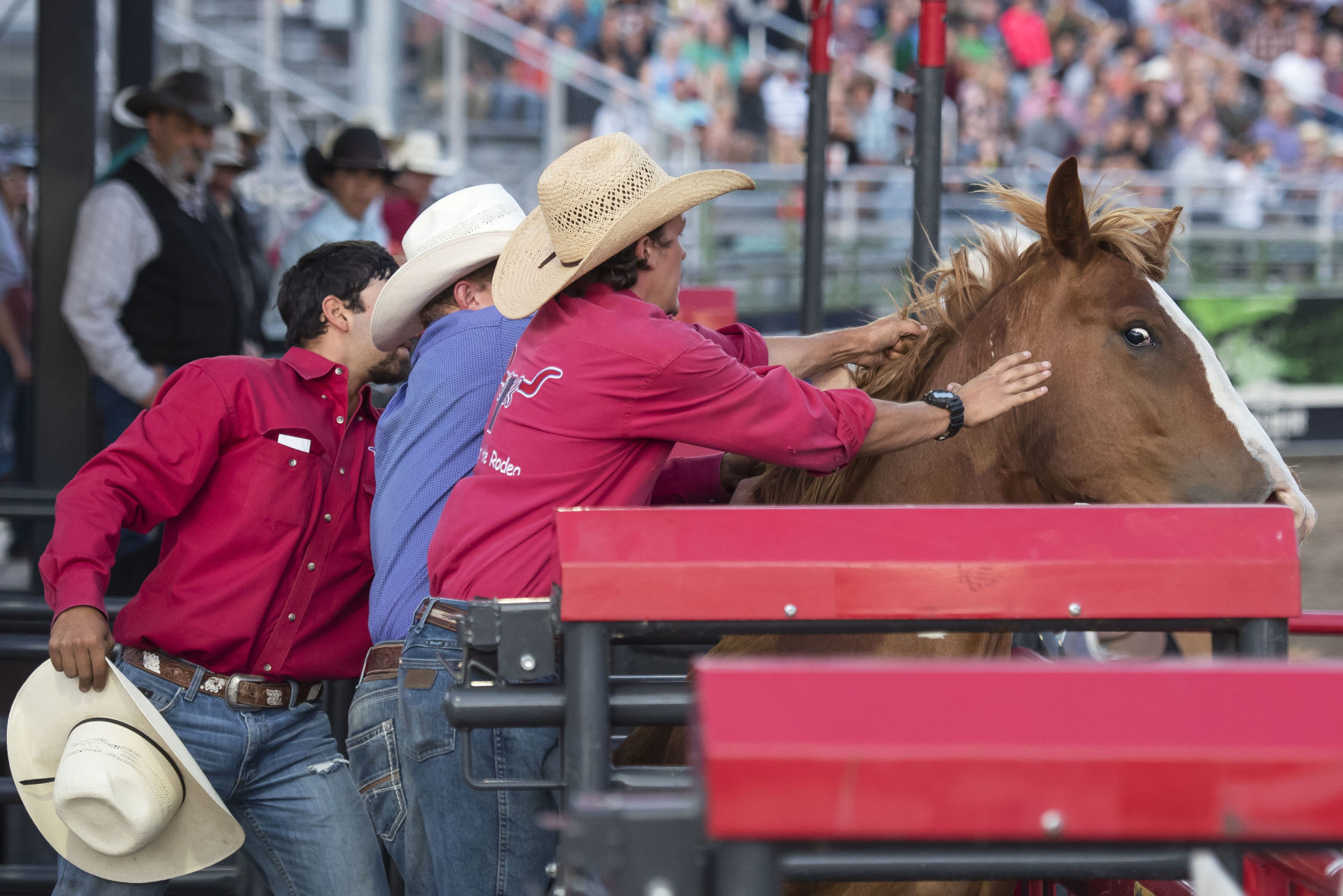 Jackson Hole Rodeo